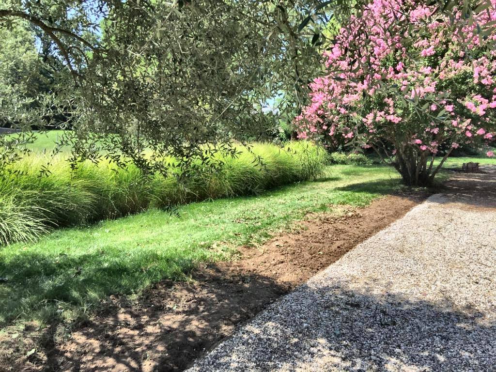 Un coin calme du jardin