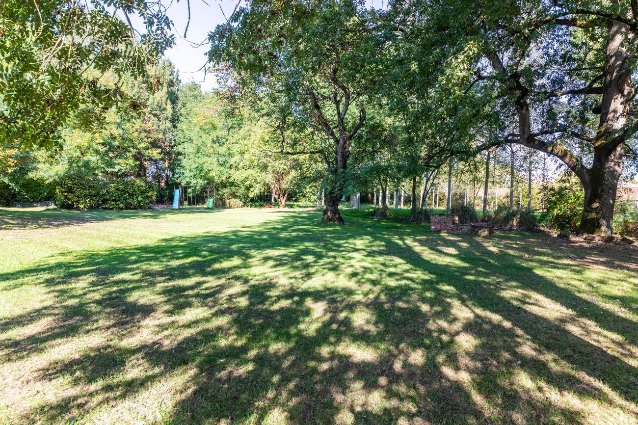 Le parc ombragé du domaine