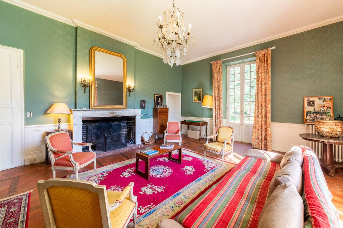 Le grand salon vert et sa cheminée